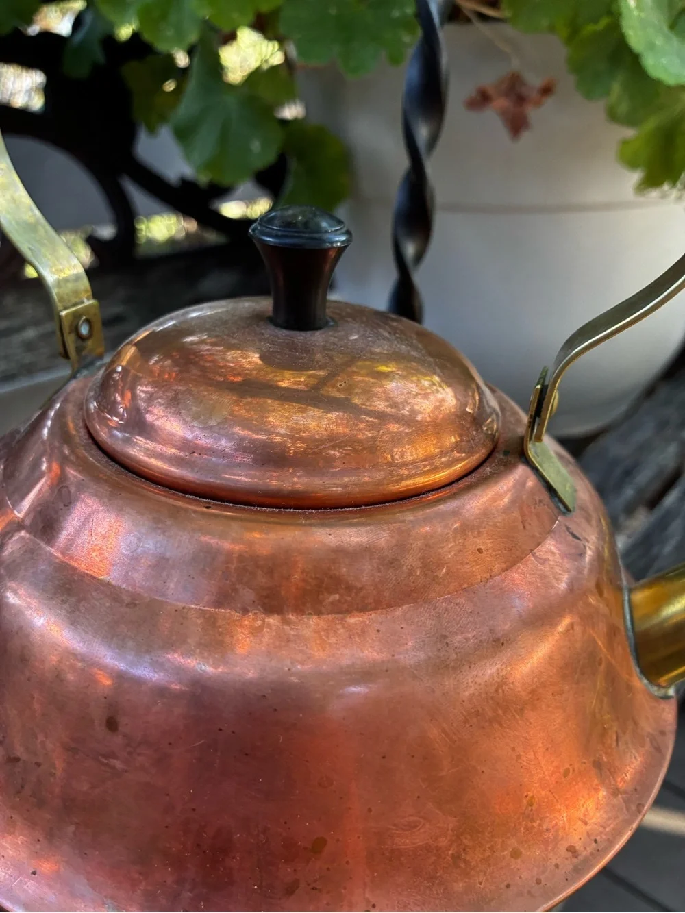 Source Unknown attractive copper